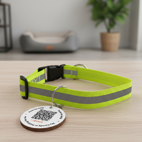 Pet Smart QR Tag With Collar (Pack of 1) (White)